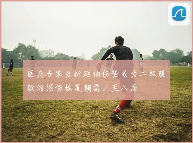 医疗专家分析廷伯伤势或为二级腹股沟损伤恢复期需三至八周