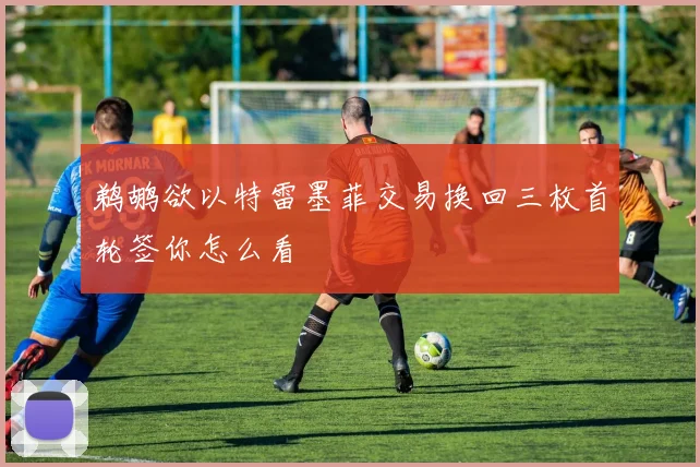 鹈鹕欲以特雷墨菲交易换回三枚首轮签你怎么看